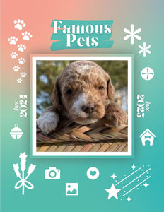 Famous Pets: June 2024-June 2025 Wall Calendar (Pre-Order)