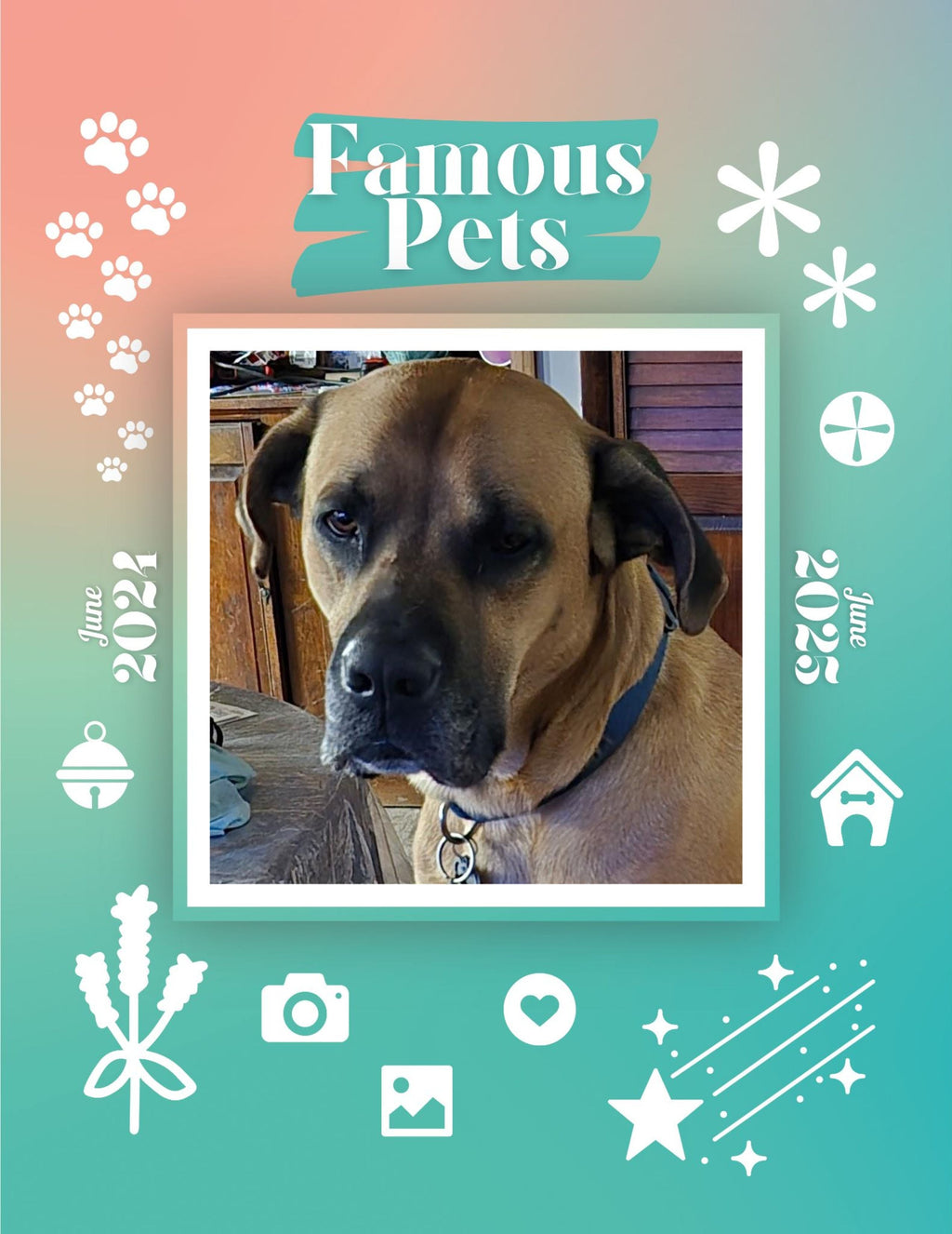 Famous Pets: June 2024-June 2025 Wall Calendar (Pre-Order)