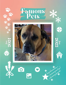 Famous Pets: June 2024-June 2025 Wall Calendar (Pre-Order)