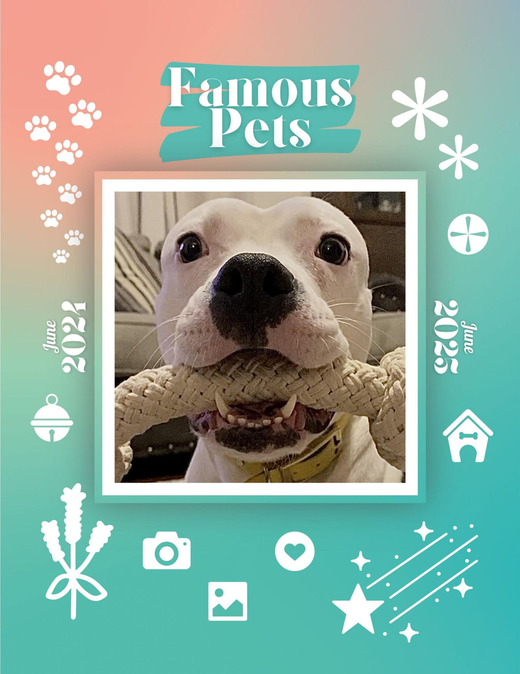 Famous Pets: June 2024-June 2025 Wall Calendar (Pre-Order)