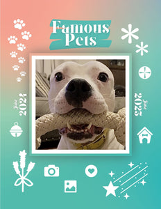 Famous Pets: June 2024-June 2025 Wall Calendar (Pre-Order)