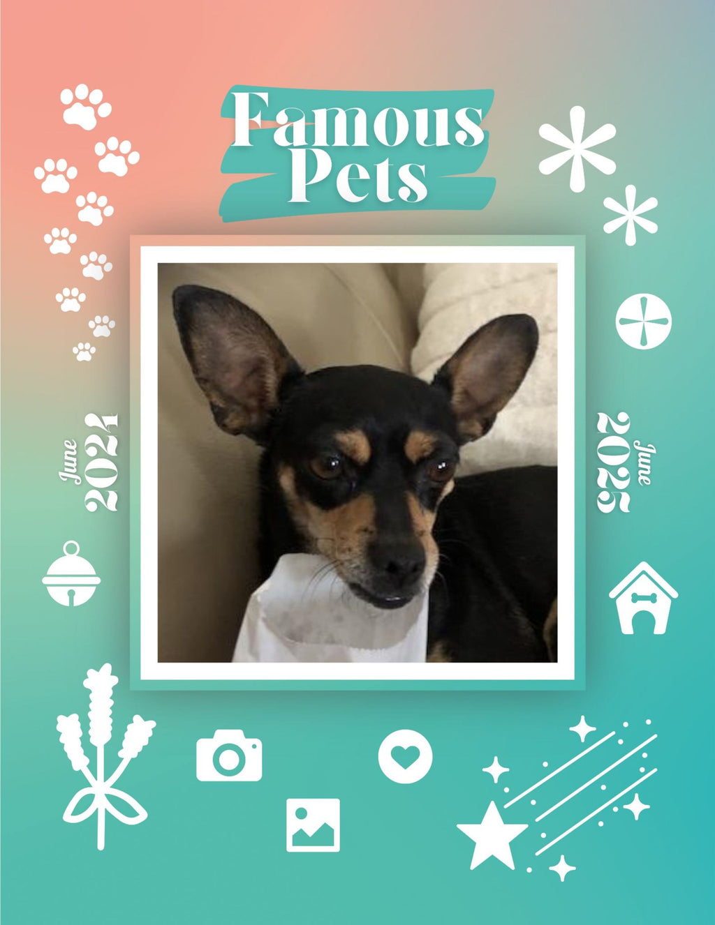 Famous Pets: June 2024-June 2025 Wall Calendar (Pre-Order)