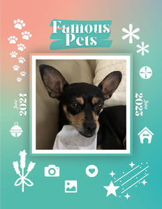 Famous Pets: June 2024-June 2025 Wall Calendar (Pre-Order)