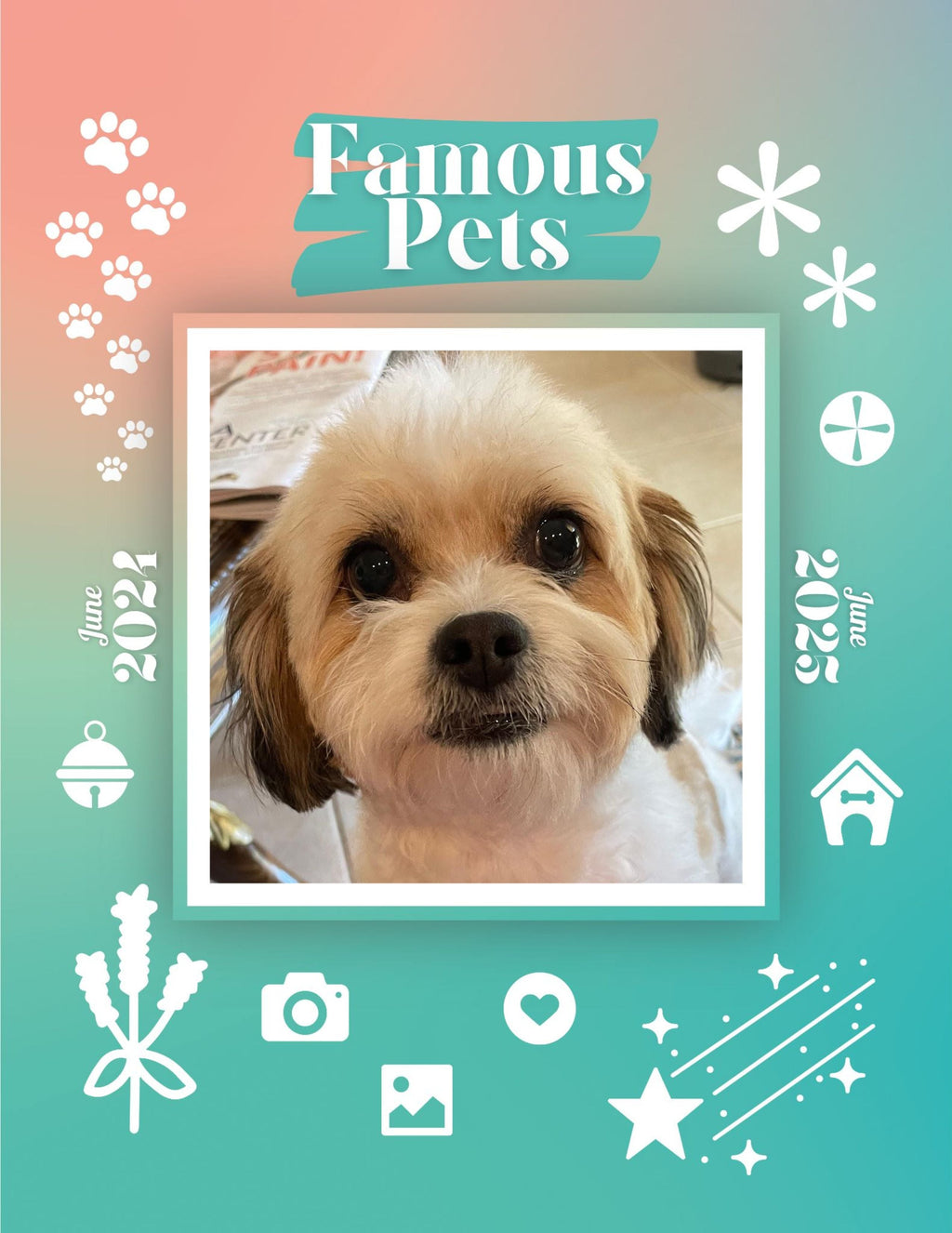 Famous Pets: June 2024-June 2025 Wall Calendar (Pre-Order)