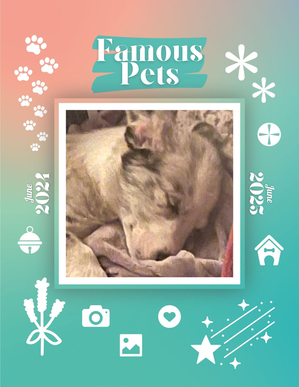 Famous Pets: June 2024-June 2025 Wall Calendar (Pre-Order)