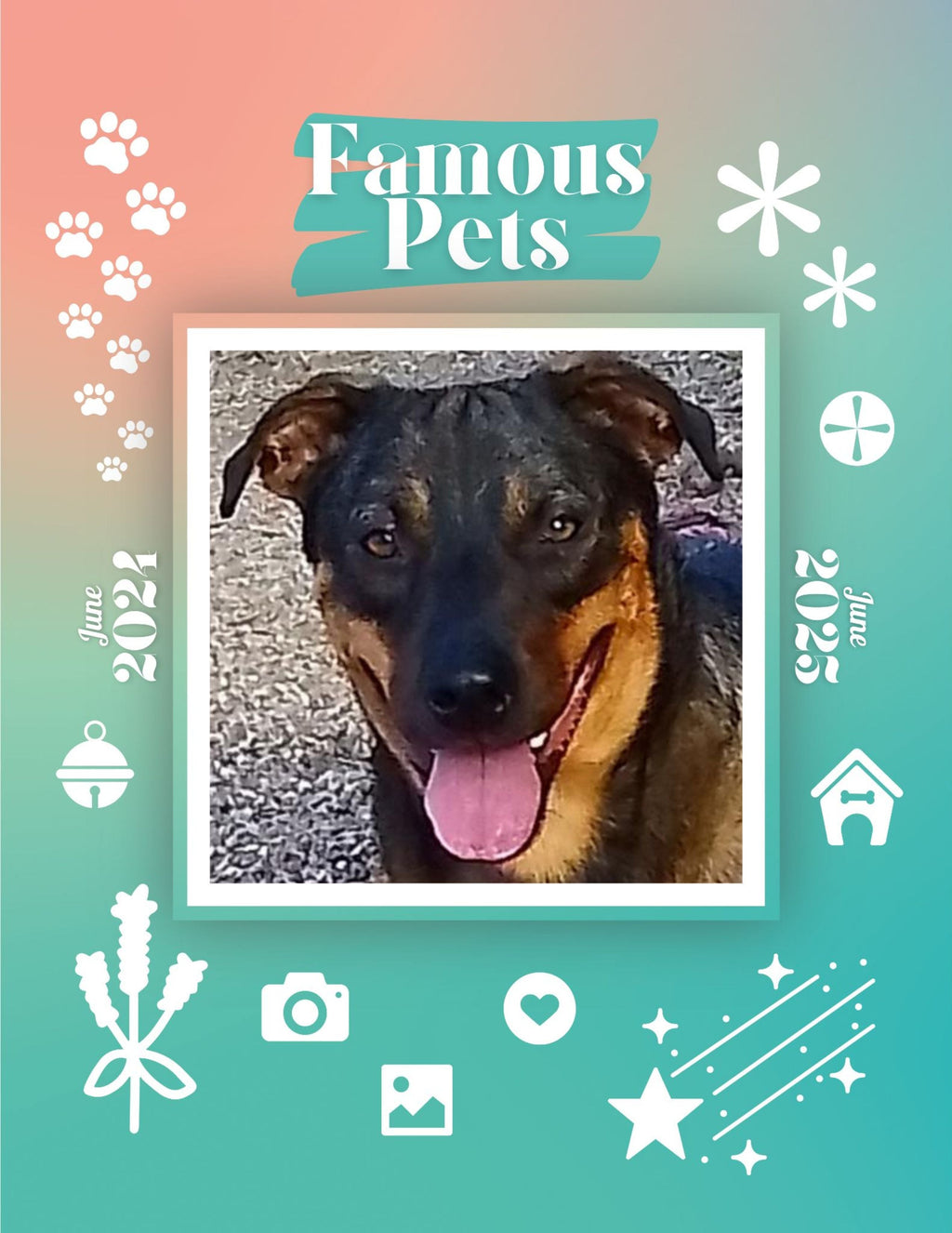 Famous Pets: June 2024-June 2025 Wall Calendar (Pre-Order)