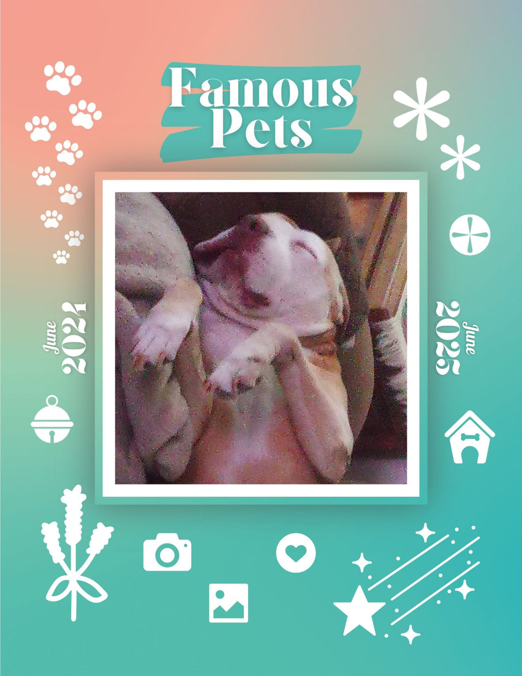 Famous Pets: June 2024-June 2025 Wall Calendar (Pre-Order)