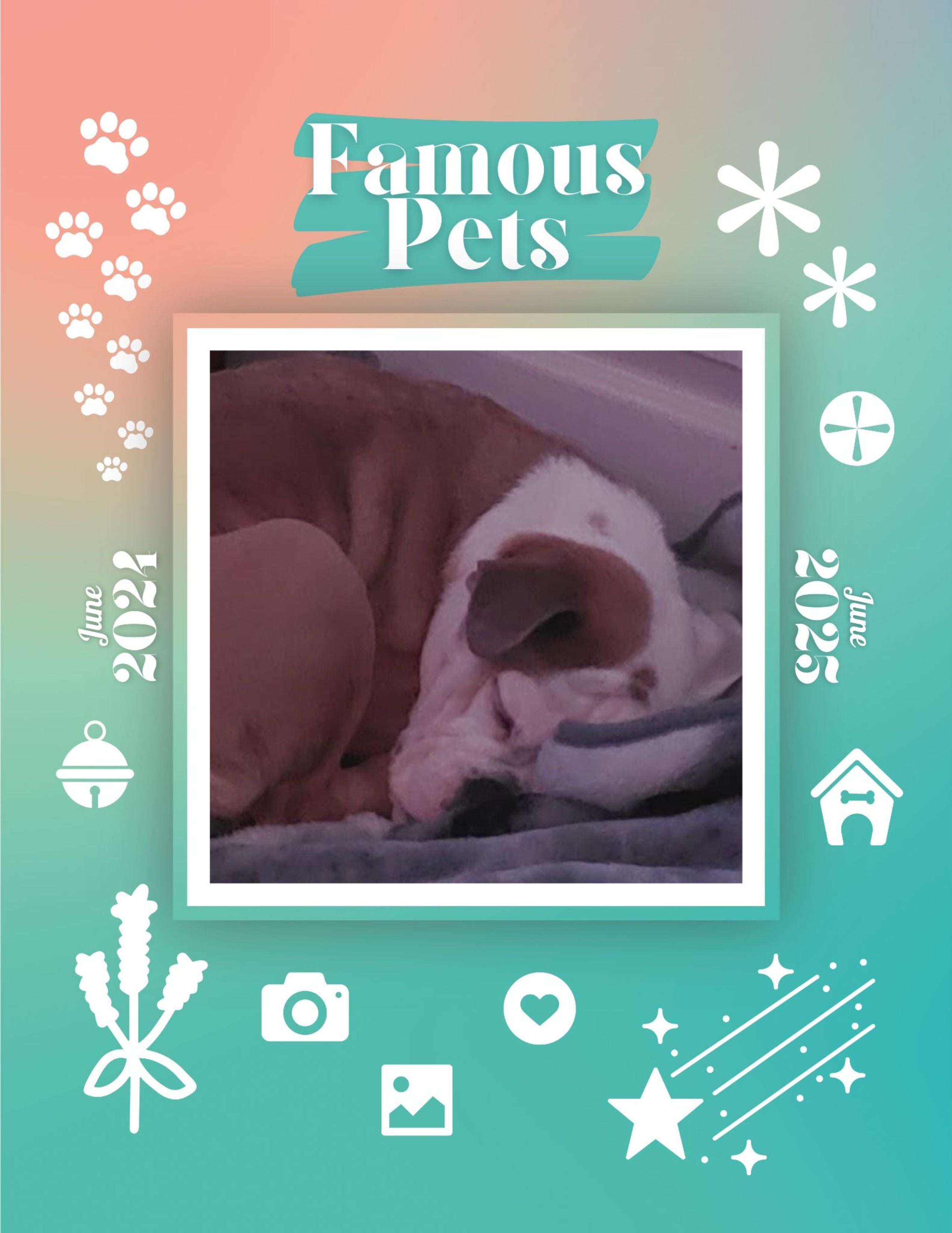 Famous Pets: June 2024-June 2025 Wall Calendar (Pre-Order)