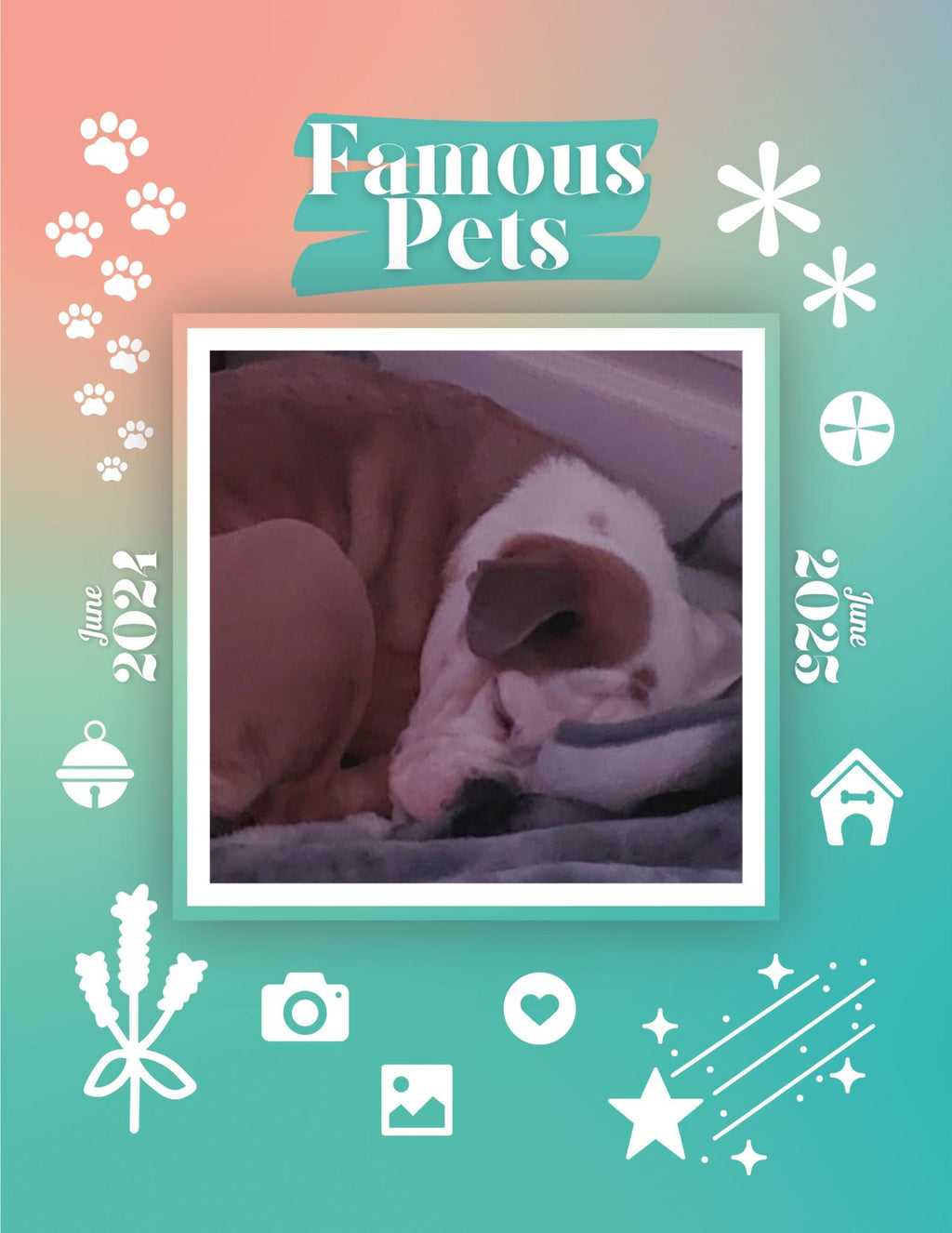 Famous Pets: June 2024-June 2025 Wall Calendar (Pre-Order)