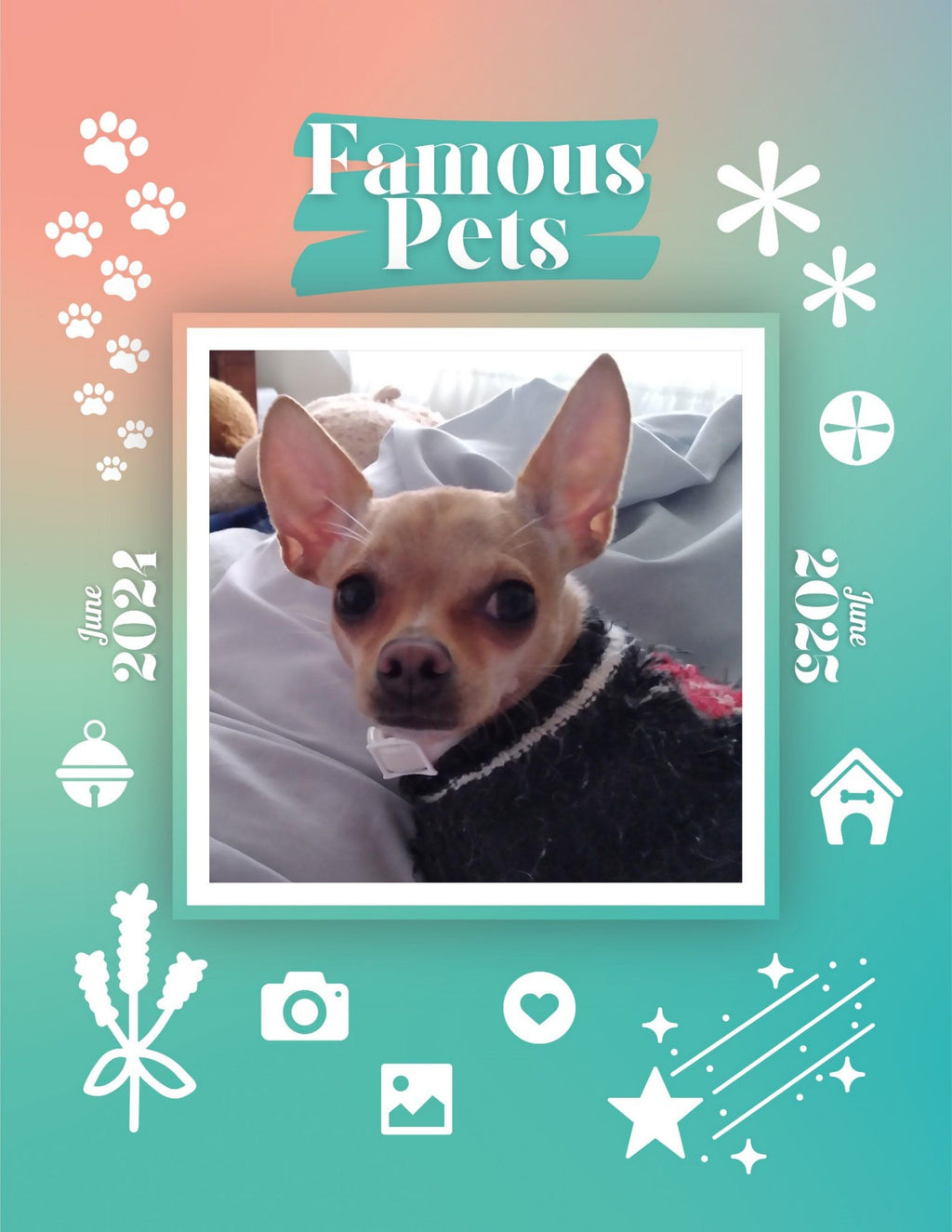 Famous Pets: June 2024-June 2025 Wall Calendar (Pre-Order)