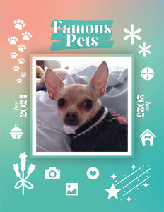 Famous Pets: June 2024-June 2025 Wall Calendar (Pre-Order)