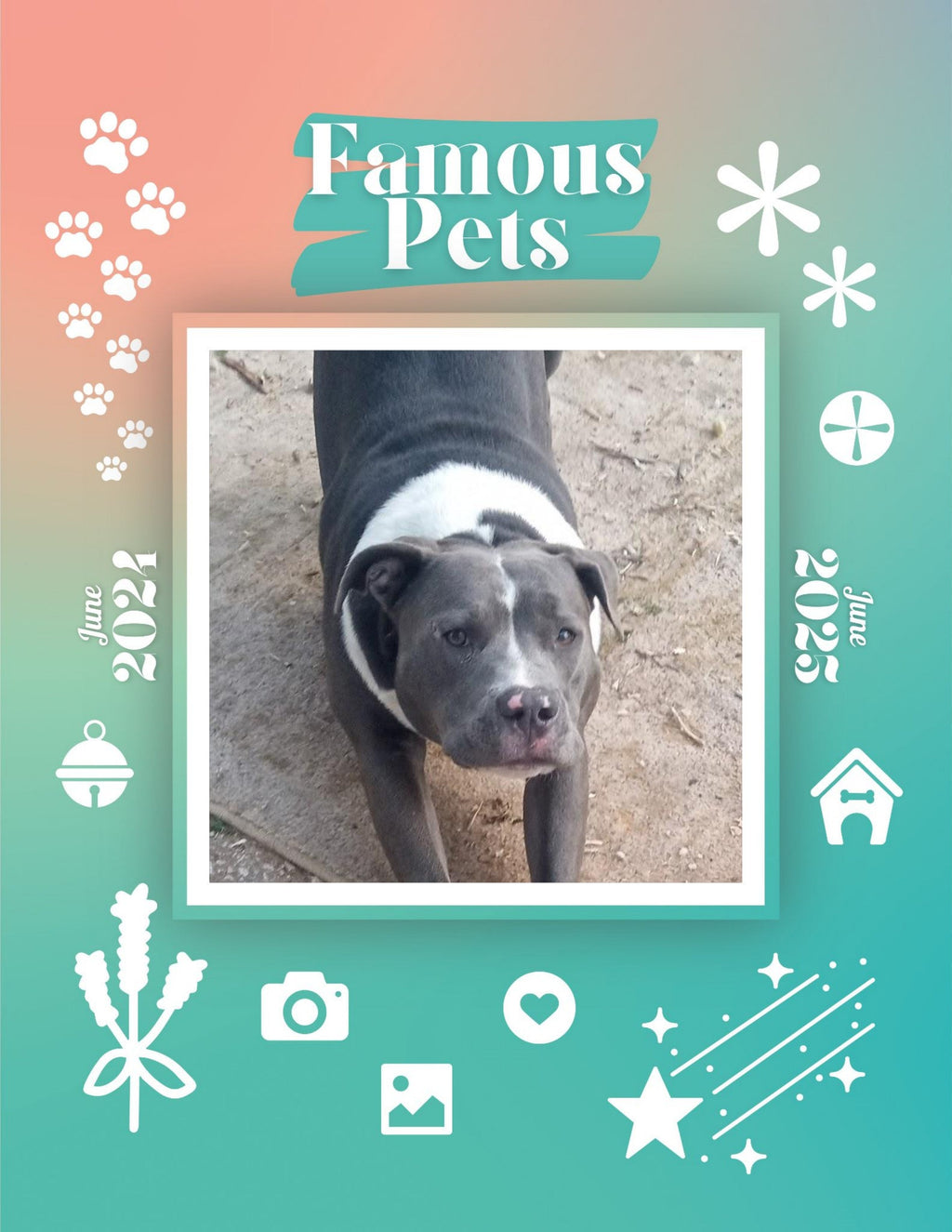 Famous Pets: June 2024-June 2025 Wall Calendar (Pre-Order)