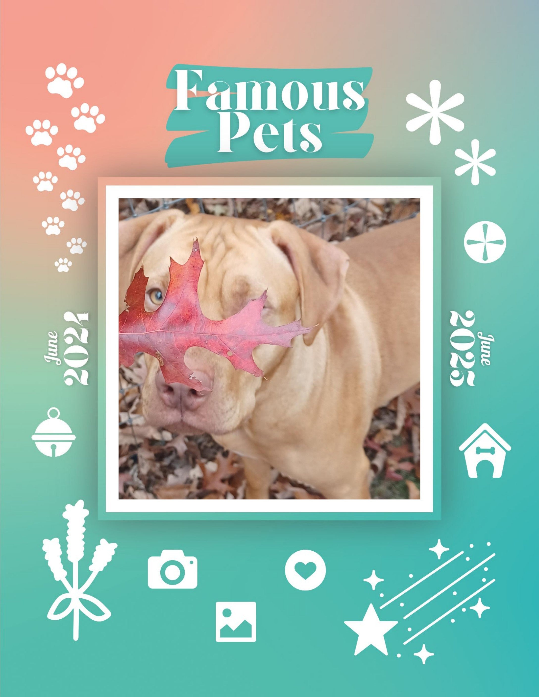 Famous Pets: June 2024-June 2025 Wall Calendar (Pre-Order)