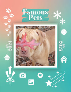 Famous Pets: June 2024-June 2025 Wall Calendar (Pre-Order)
