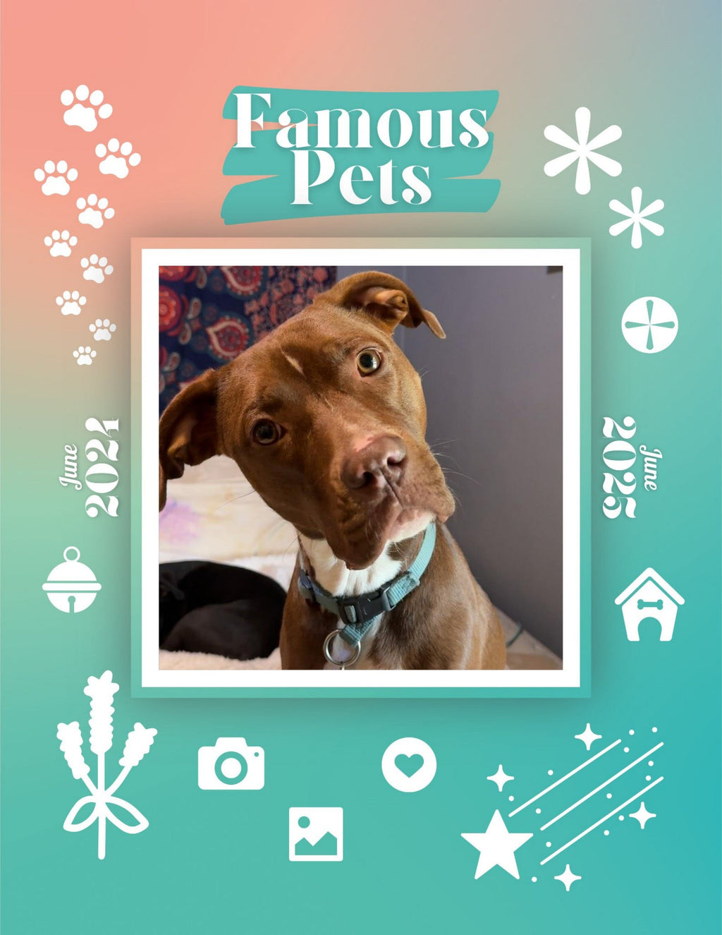Famous Pets: June 2024-June 2025 Wall Calendar (Pre-Order)