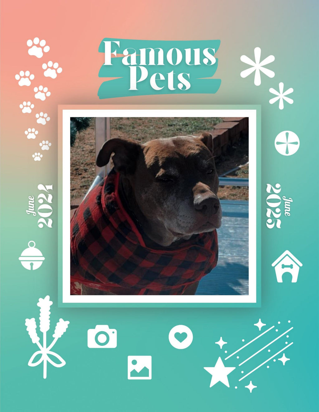 Famous Pets: June 2024-June 2025 Wall Calendar (Pre-Order)