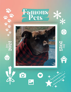 Famous Pets: June 2024-June 2025 Wall Calendar (Pre-Order)