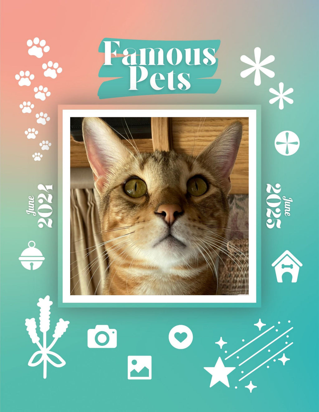Famous Pets: June 2024-June 2025 Wall Calendar (Pre-Order)