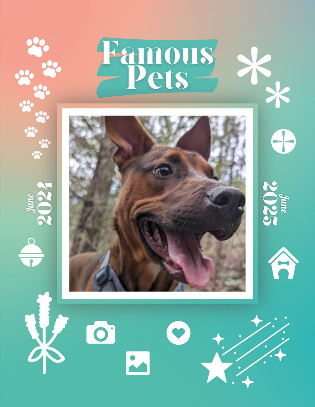 Famous Pets: June 2024-June 2025 Wall Calendar (Pre-Order)