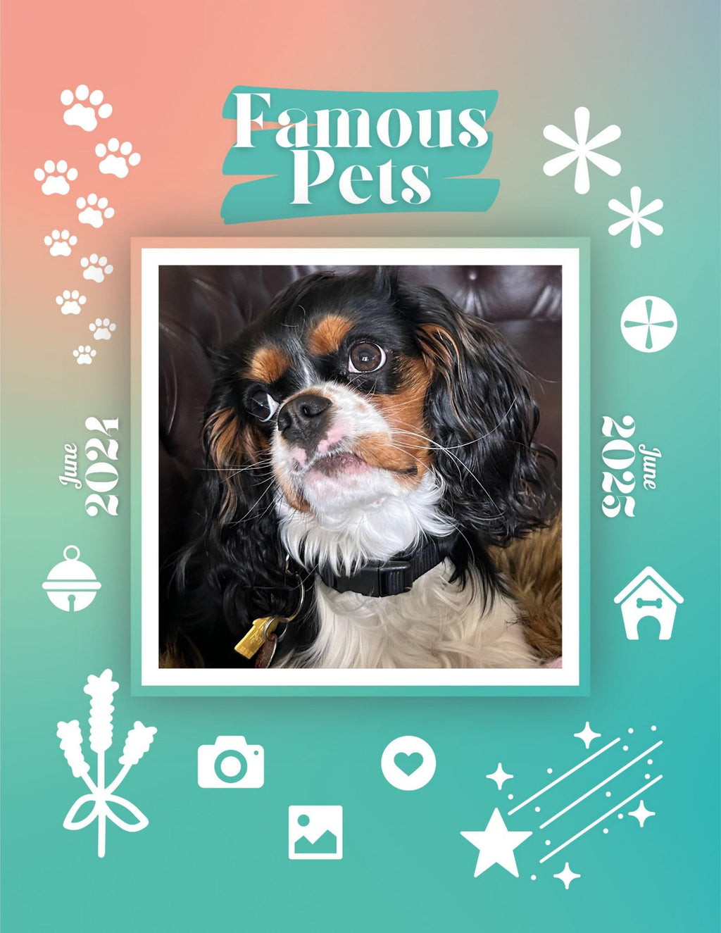 Famous Pets: June 2024-June 2025 Wall Calendar (Pre-Order)