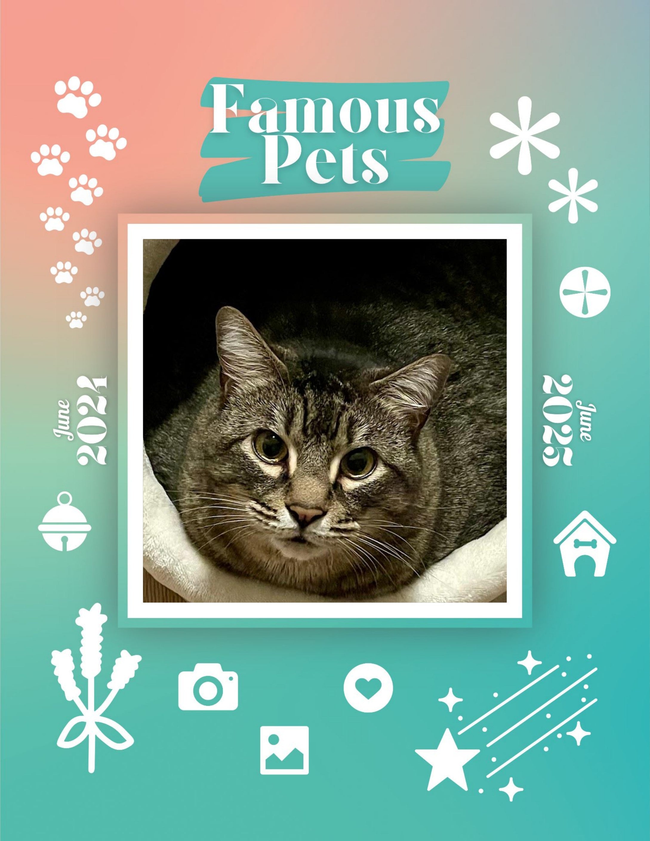 Famous Pets: June 2024-June 2025 Wall Calendar (Pre-Order)