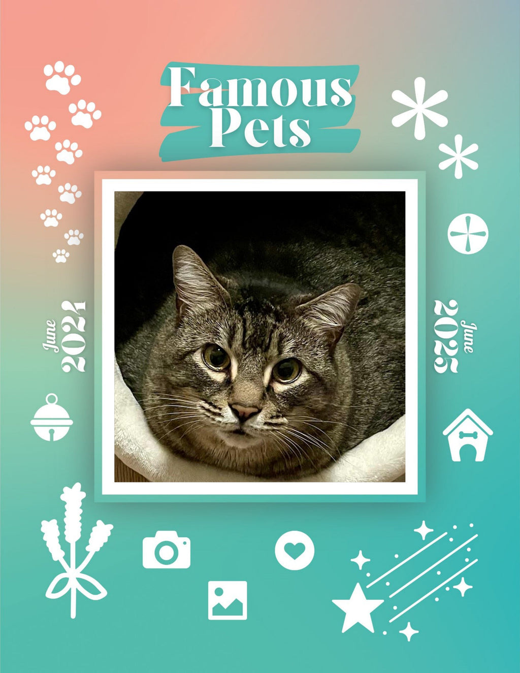 Famous Pets: June 2024-June 2025 Wall Calendar (Pre-Order)