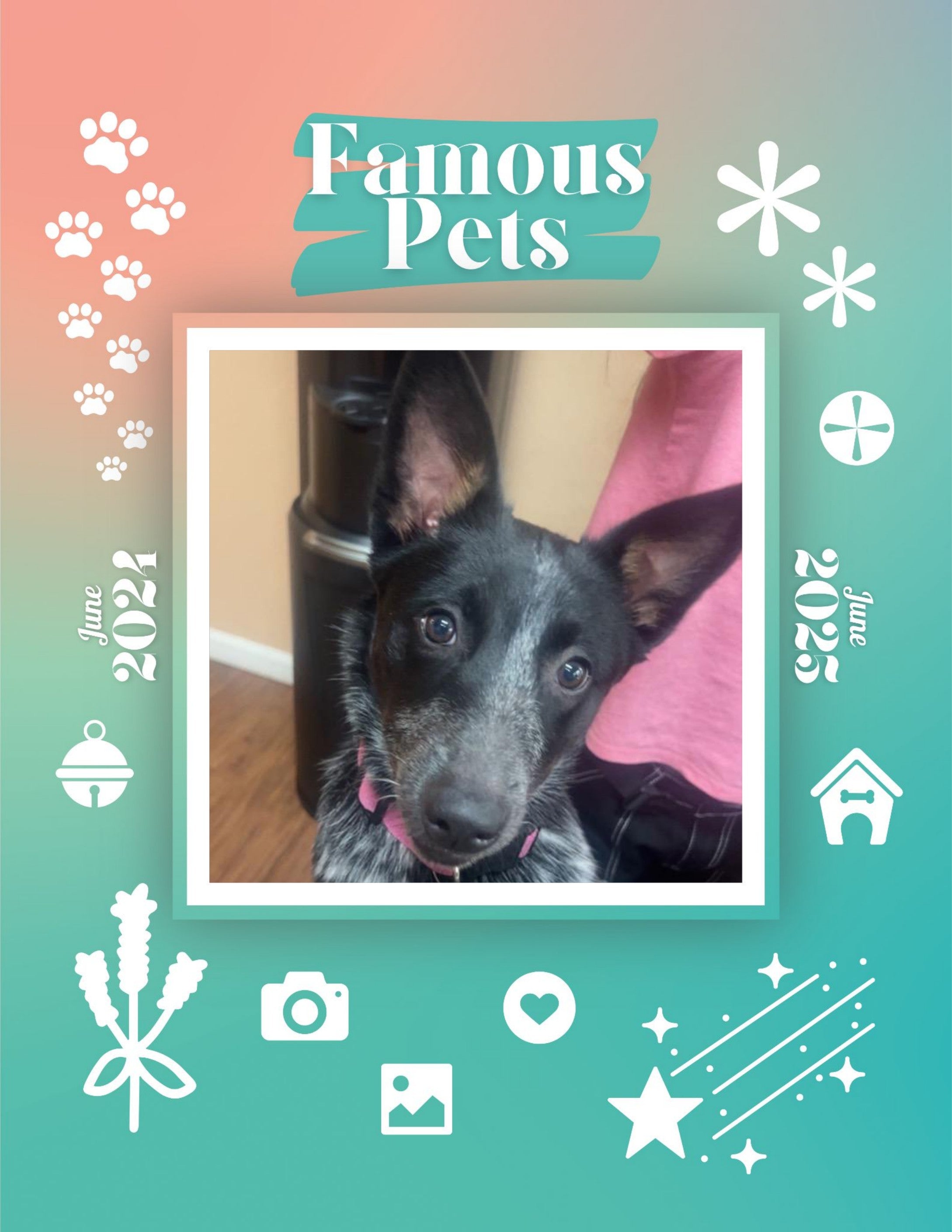 Famous Pets: June 2024-June 2025 Wall Calendar (Pre-Order)