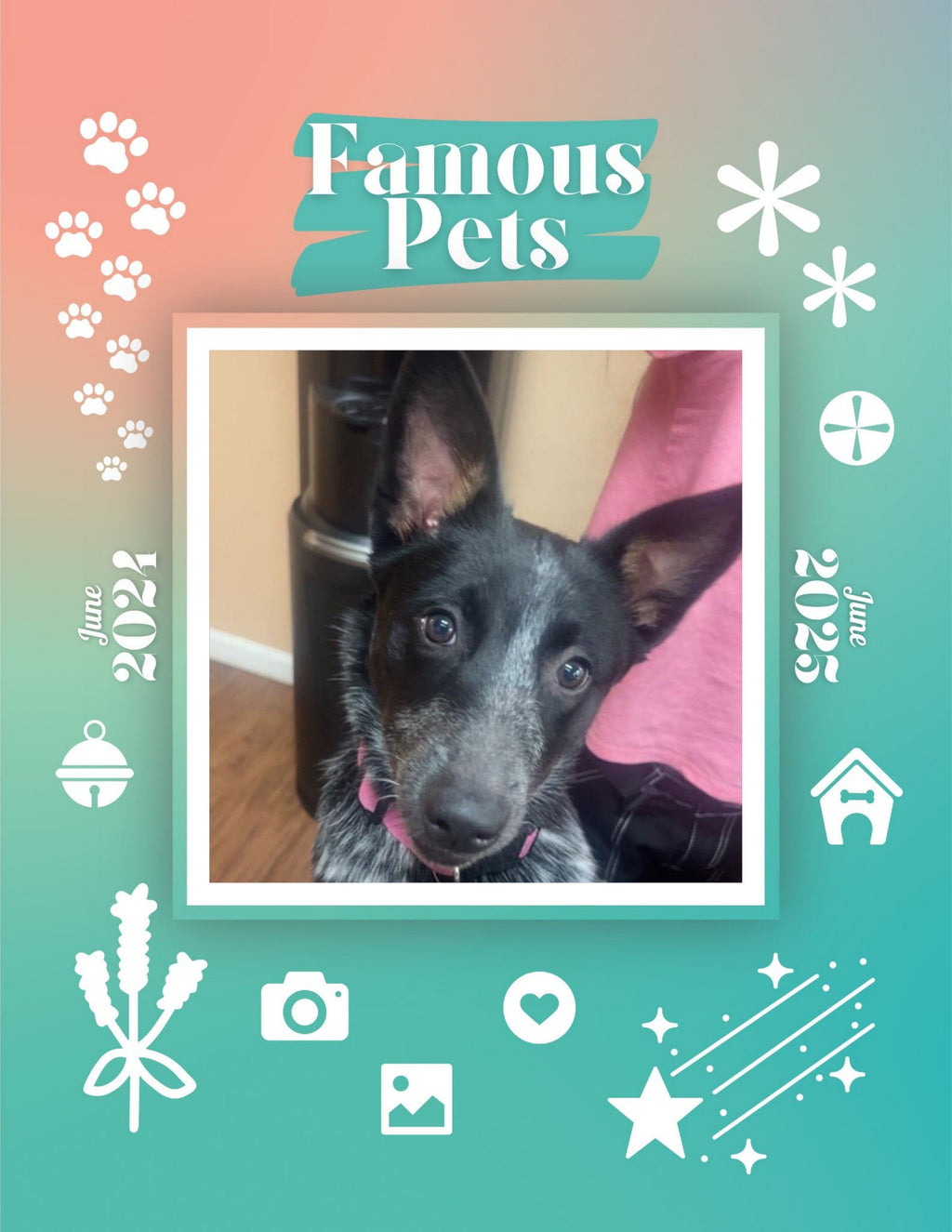Famous Pets: June 2024-June 2025 Wall Calendar (Pre-Order)