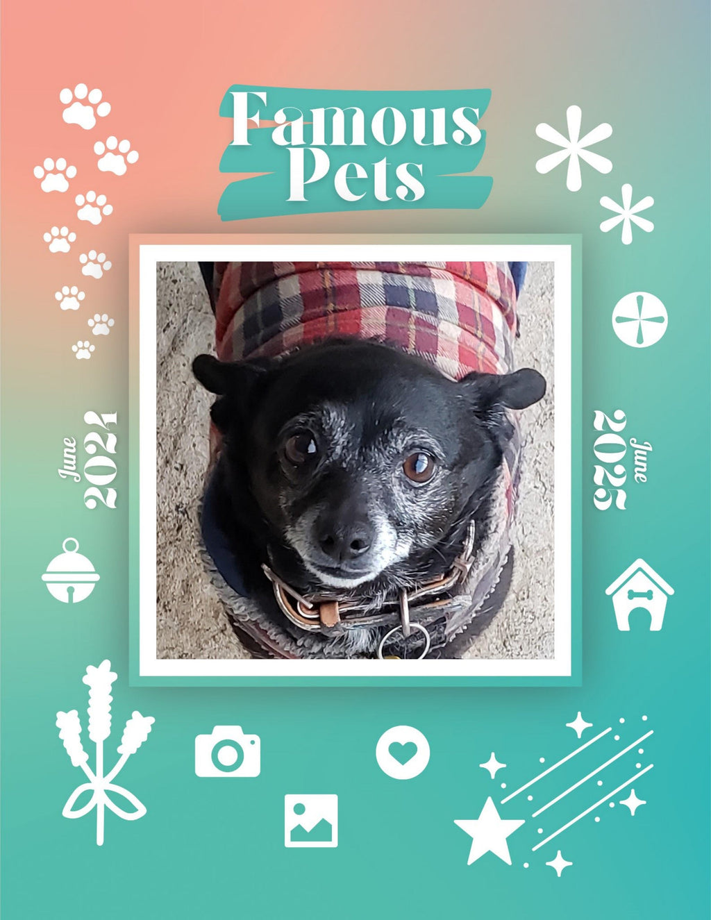 Famous Pets: June 2024-June 2025 Wall Calendar (Pre-Order)