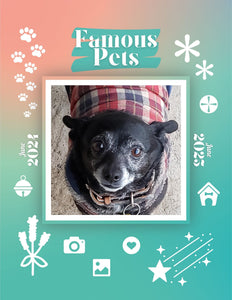 Famous Pets: June 2024-June 2025 Wall Calendar (Pre-Order)