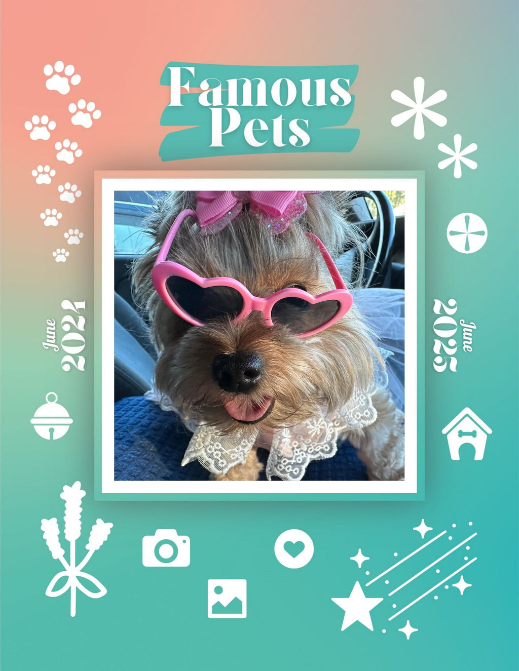 Famous Pets: June 2024-June 2025 Wall Calendar (Pre-Order)