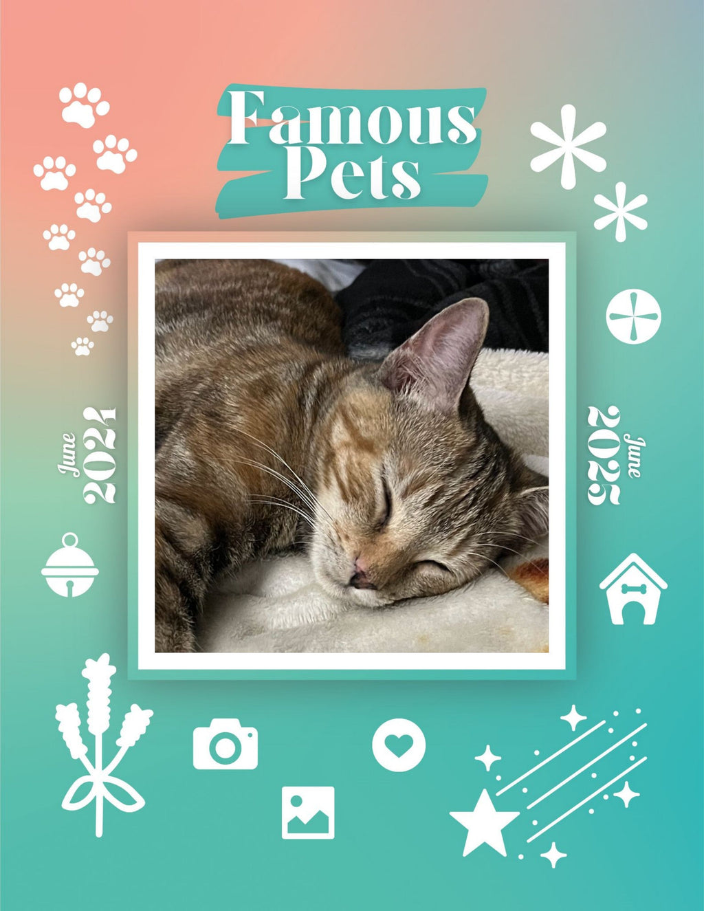Famous Pets: June 2024-June 2025 Wall Calendar (Pre-Order)