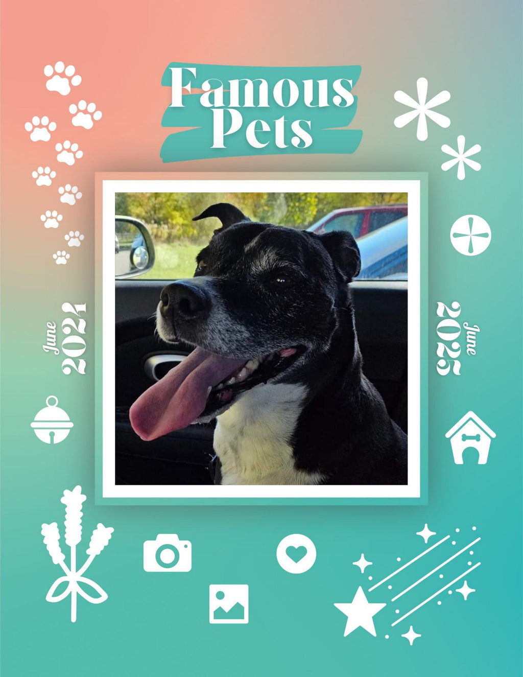 Famous Pets: June 2024-June 2025 Wall Calendar (Pre-Order)