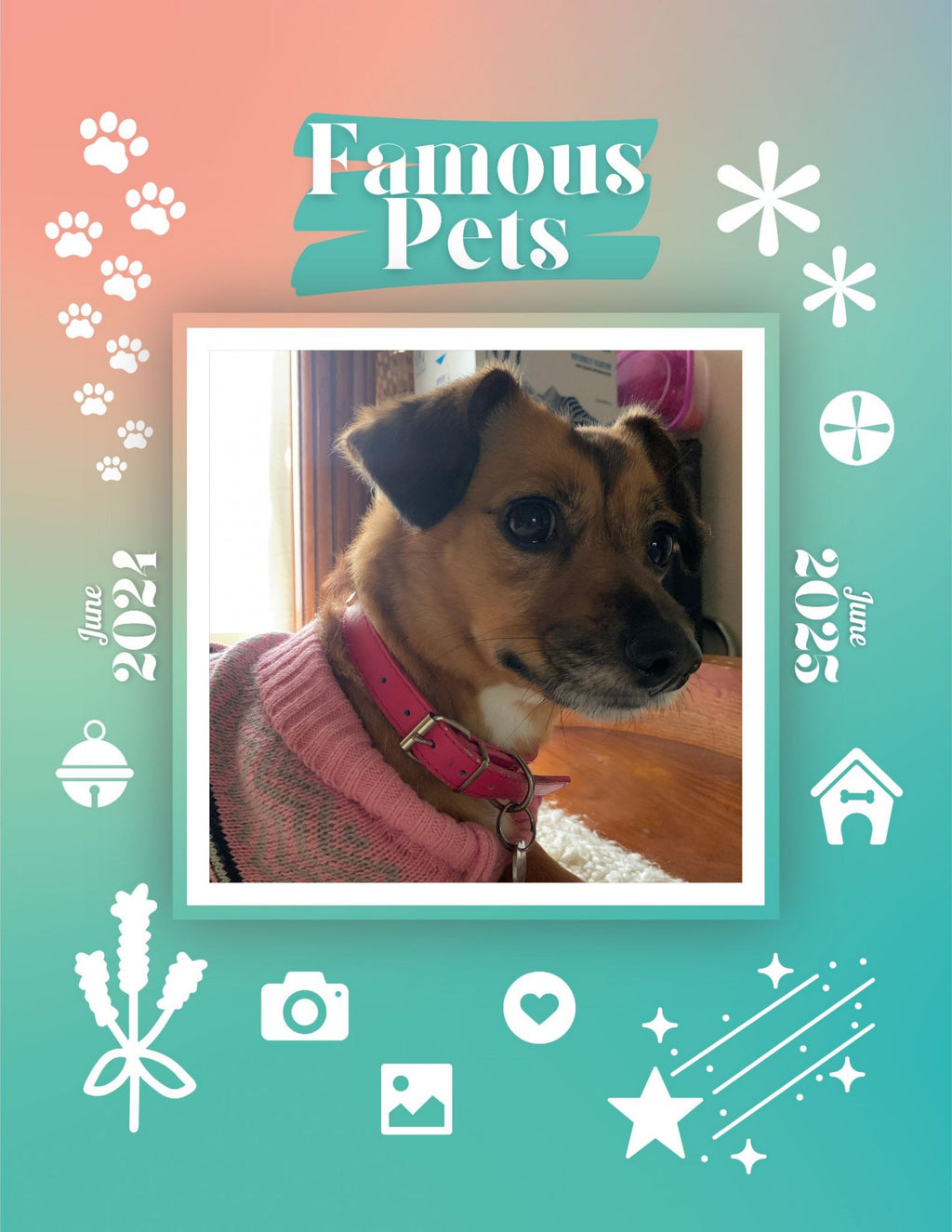 Famous Pets: June 2024-June 2025 Wall Calendar (Pre-Order)