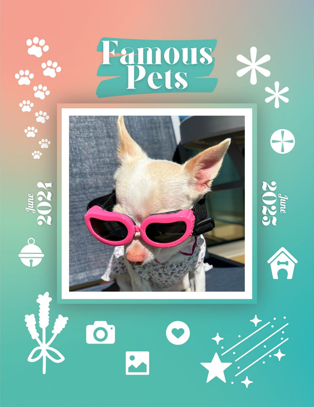 Famous Pets: June 2024-June 2025 Wall Calendar (Pre-Order)