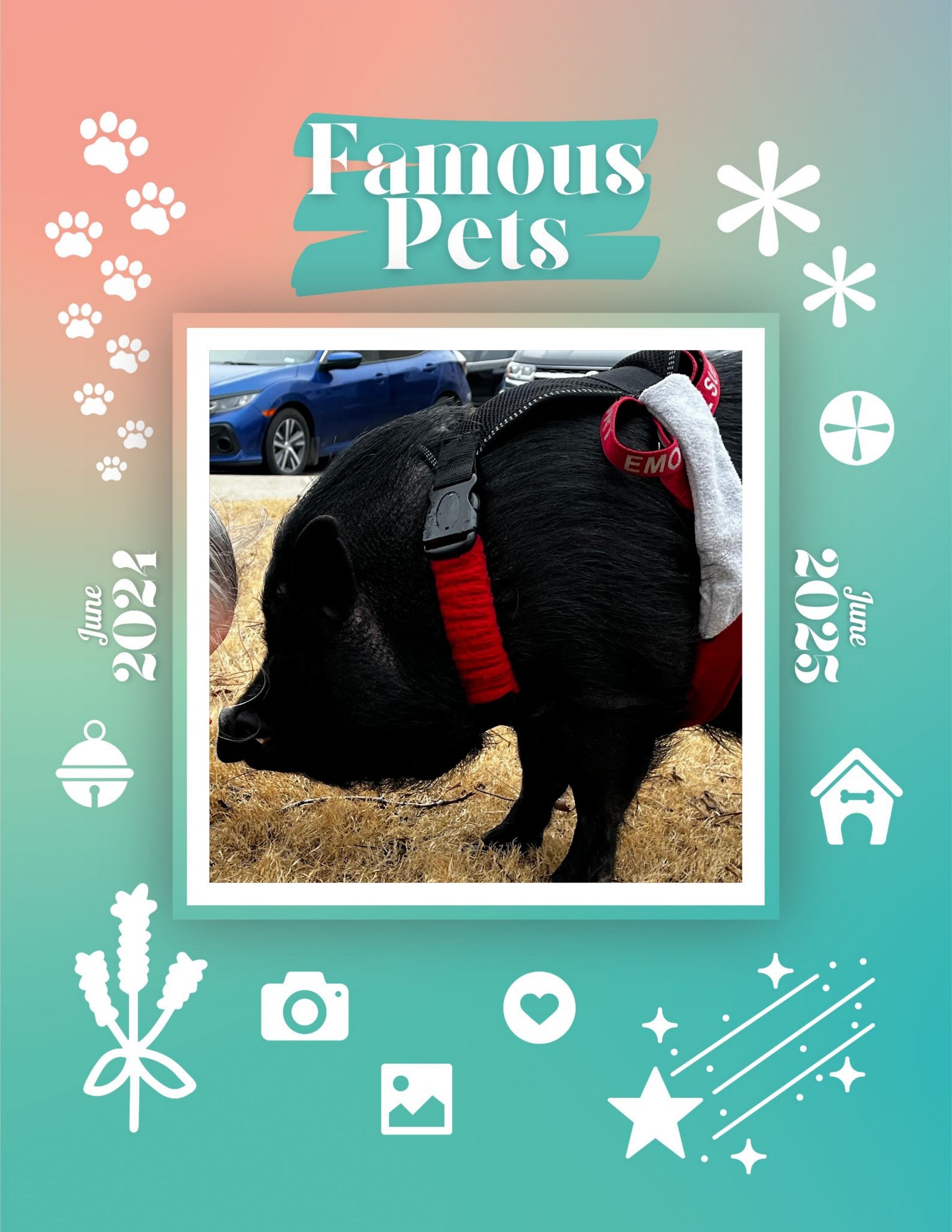 Famous Pets: June 2024-June 2025 Wall Calendar (Pre-Order)