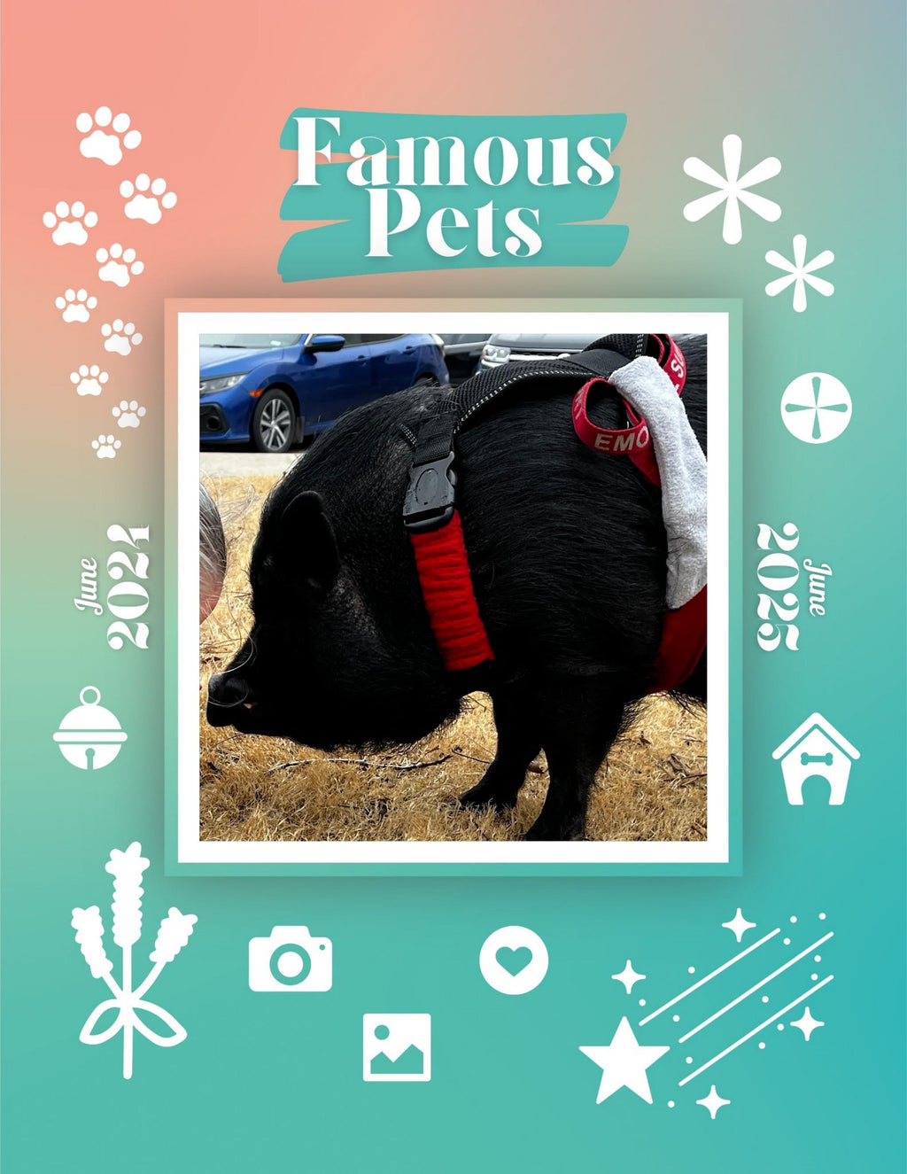 Famous Pets: June 2024-June 2025 Wall Calendar (Pre-Order)