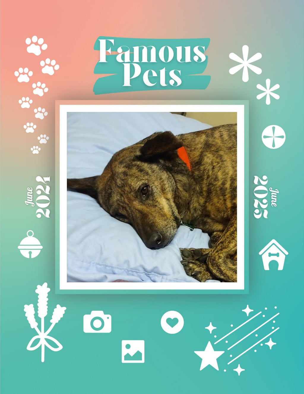 Famous Pets: June 2024-June 2025 Wall Calendar (Pre-Order)