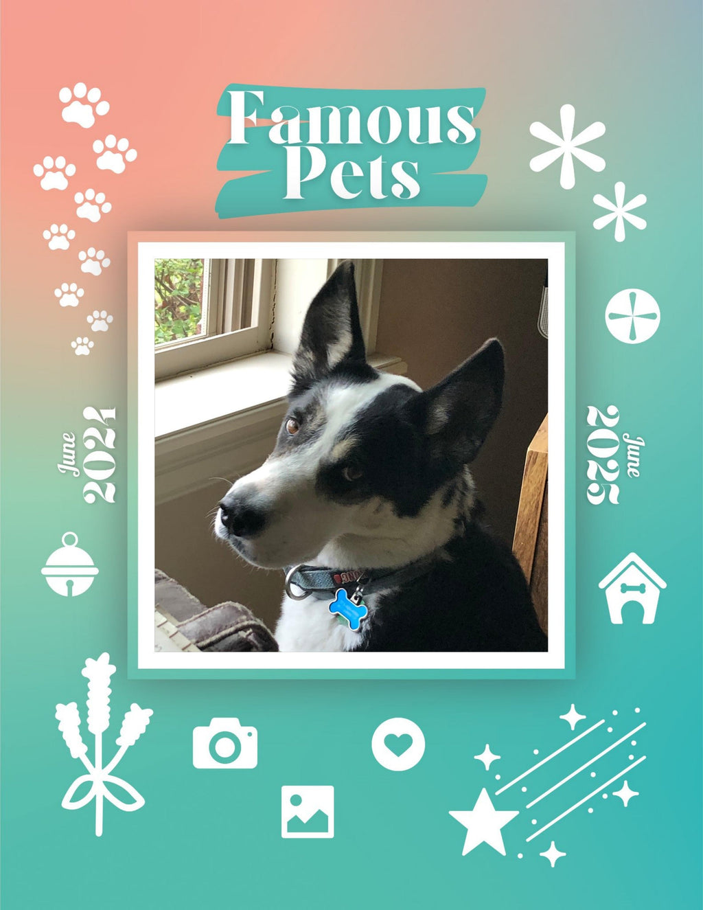 Famous Pets: June 2024-June 2025 Wall Calendar (Pre-Order)