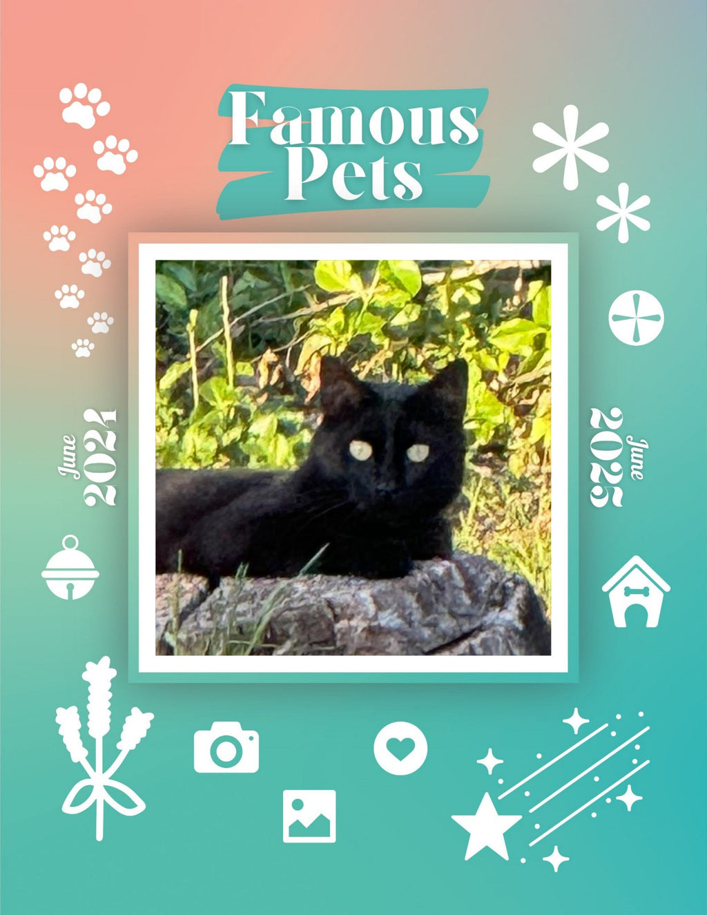 Famous Pets: June 2024-June 2025 Wall Calendar (Pre-Order)