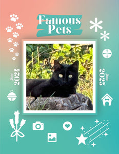 Famous Pets: June 2024-June 2025 Wall Calendar (Pre-Order)