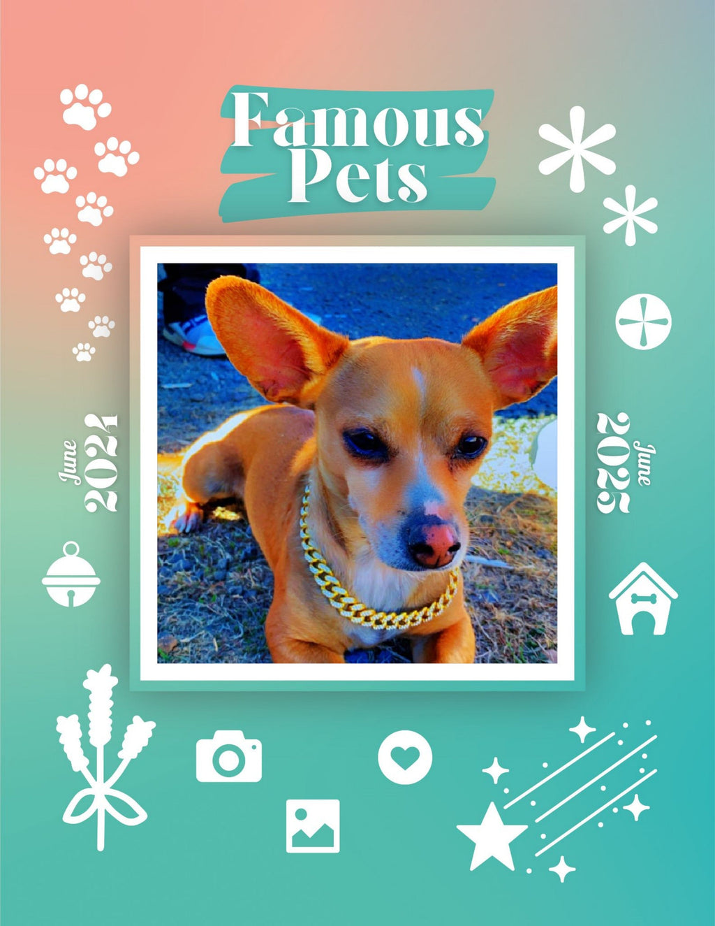 Famous Pets: June 2024-June 2025 Wall Calendar (Pre-Order)