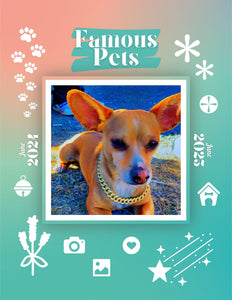 Famous Pets: June 2024-June 2025 Wall Calendar (Pre-Order)