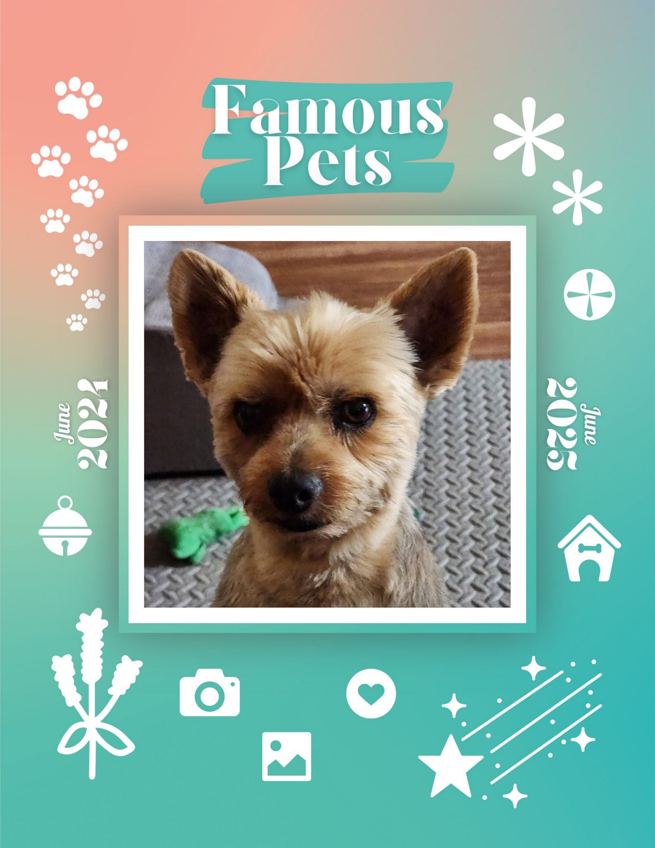 Famous Pets: June 2024-June 2025 Wall Calendar (Pre-Order)