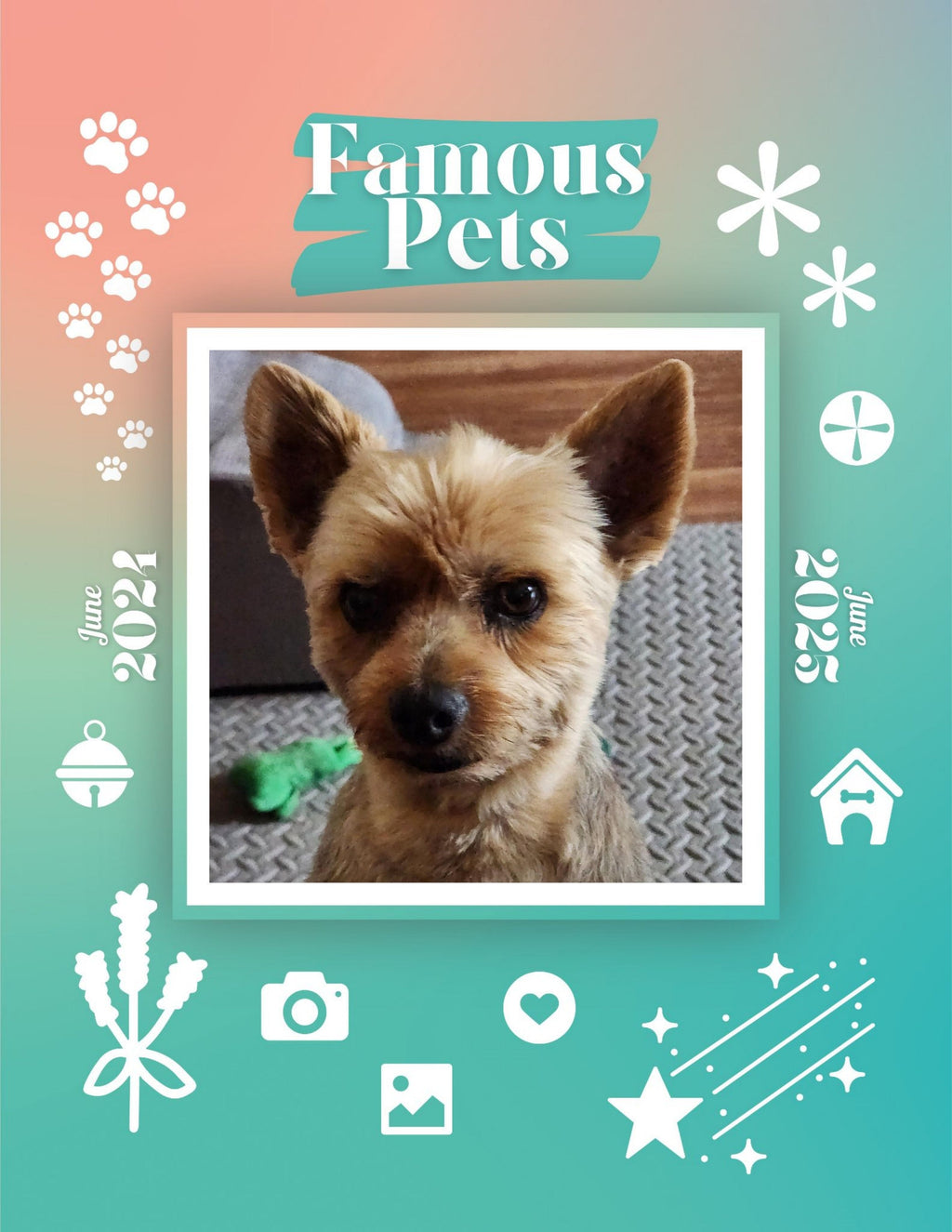 Famous Pets: June 2024-June 2025 Wall Calendar (Pre-Order)