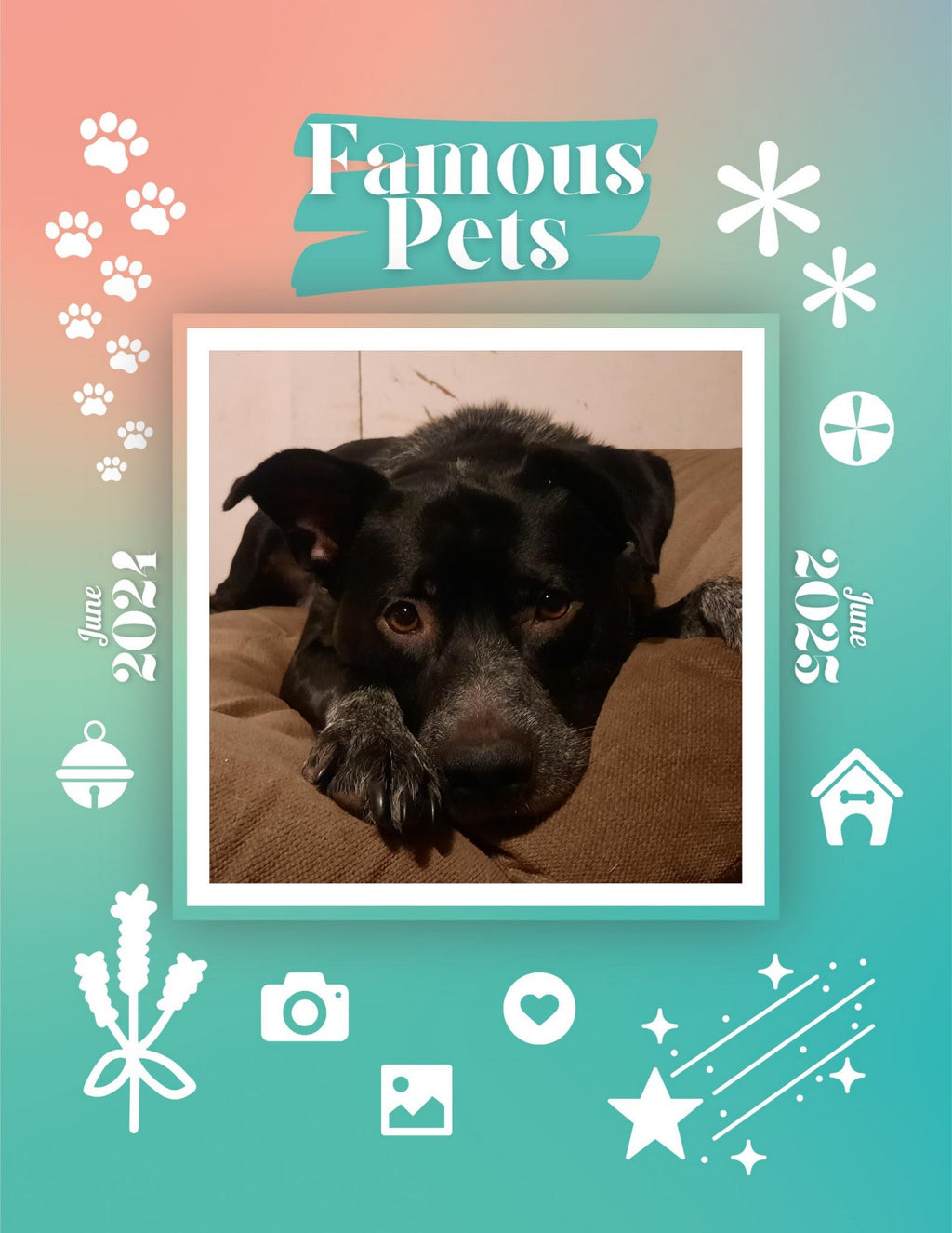 Famous Pets: June 2024-June 2025 Wall Calendar (Pre-Order)