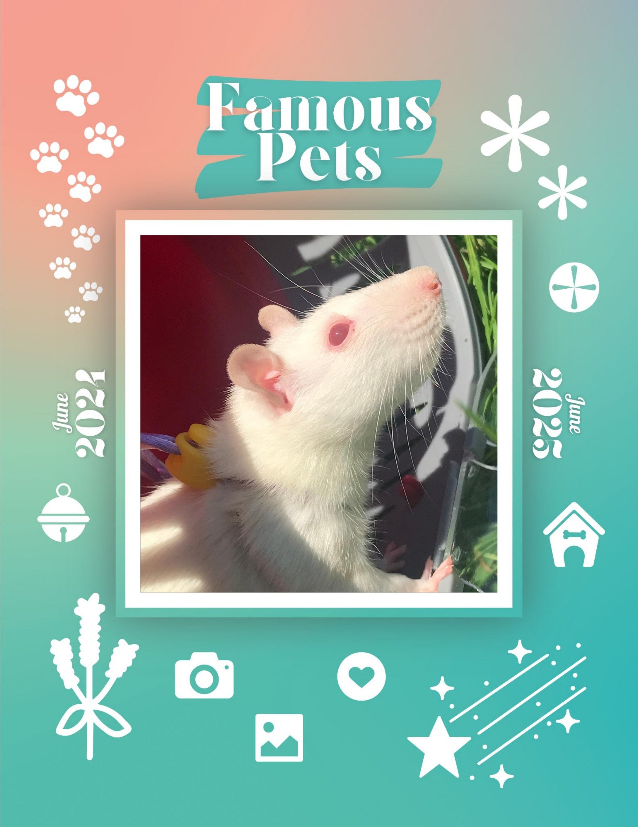 Famous Pets: June 2024-June 2025 Wall Calendar (Pre-Order)