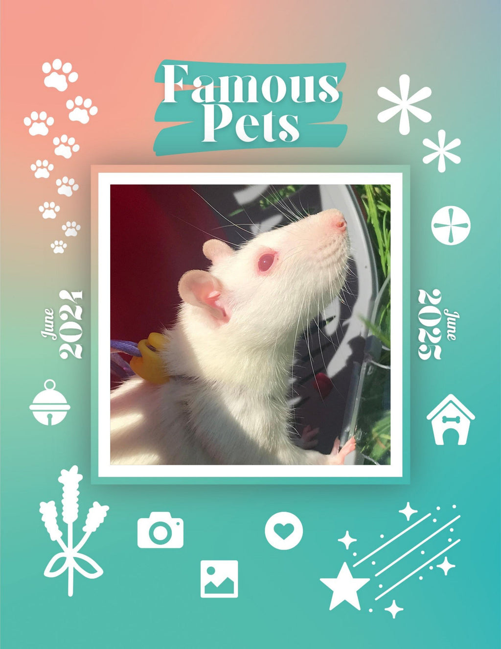Famous Pets: June 2024-June 2025 Wall Calendar (Pre-Order)