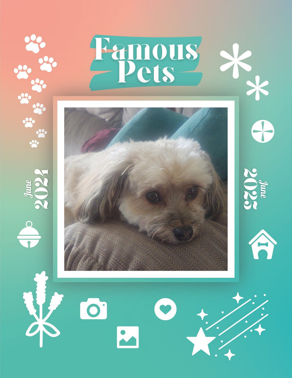 Famous Pets: June 2024-June 2025 Wall Calendar (Pre-Order)