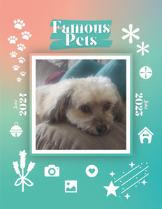 Famous Pets: June 2024-June 2025 Wall Calendar (Pre-Order)